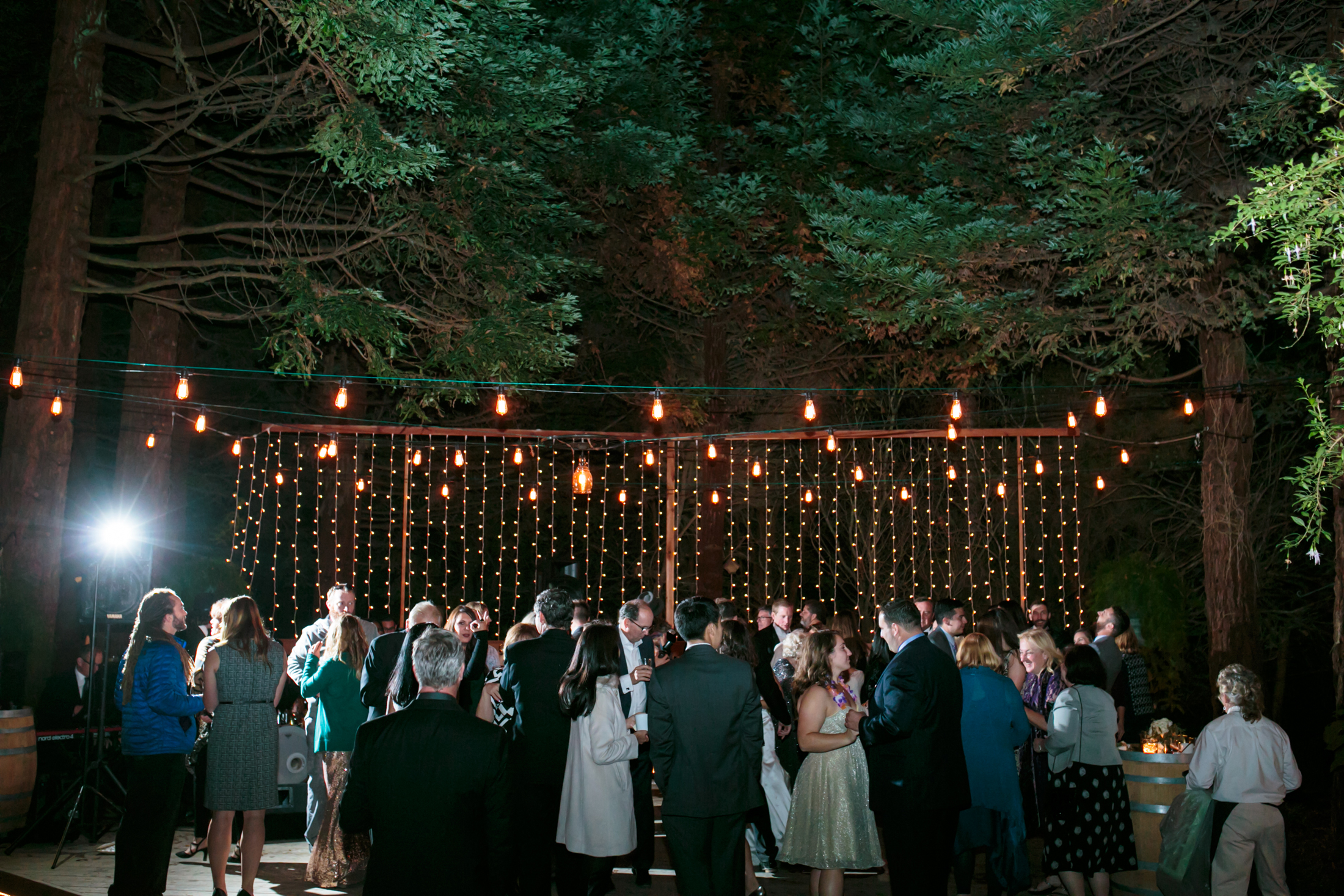 A far away look of the entire dance floor shows all the different lighting and the Redwood trees above.