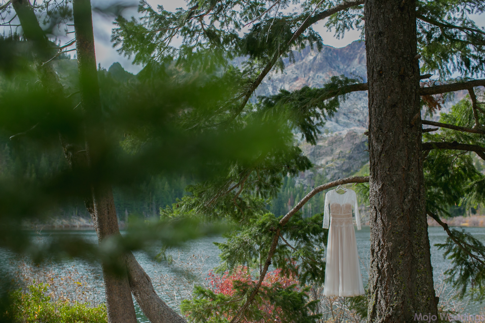 A lacy off-white wedding dress hangs from a pine tree with a lake and colorful leaves surrounding it.