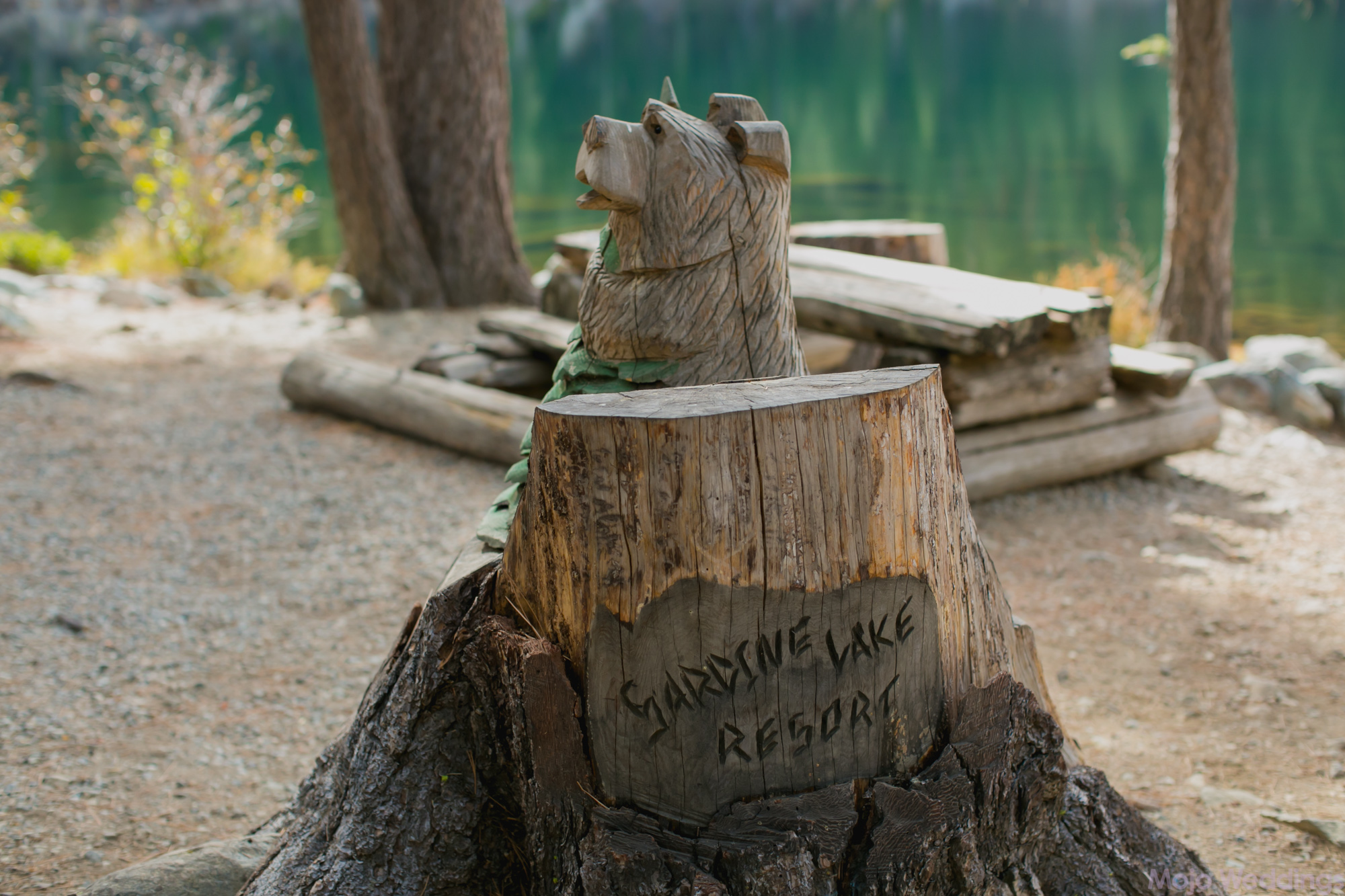 A wood carving of a bear and a sign carved in to a stump saying Sardine Lake Resort.