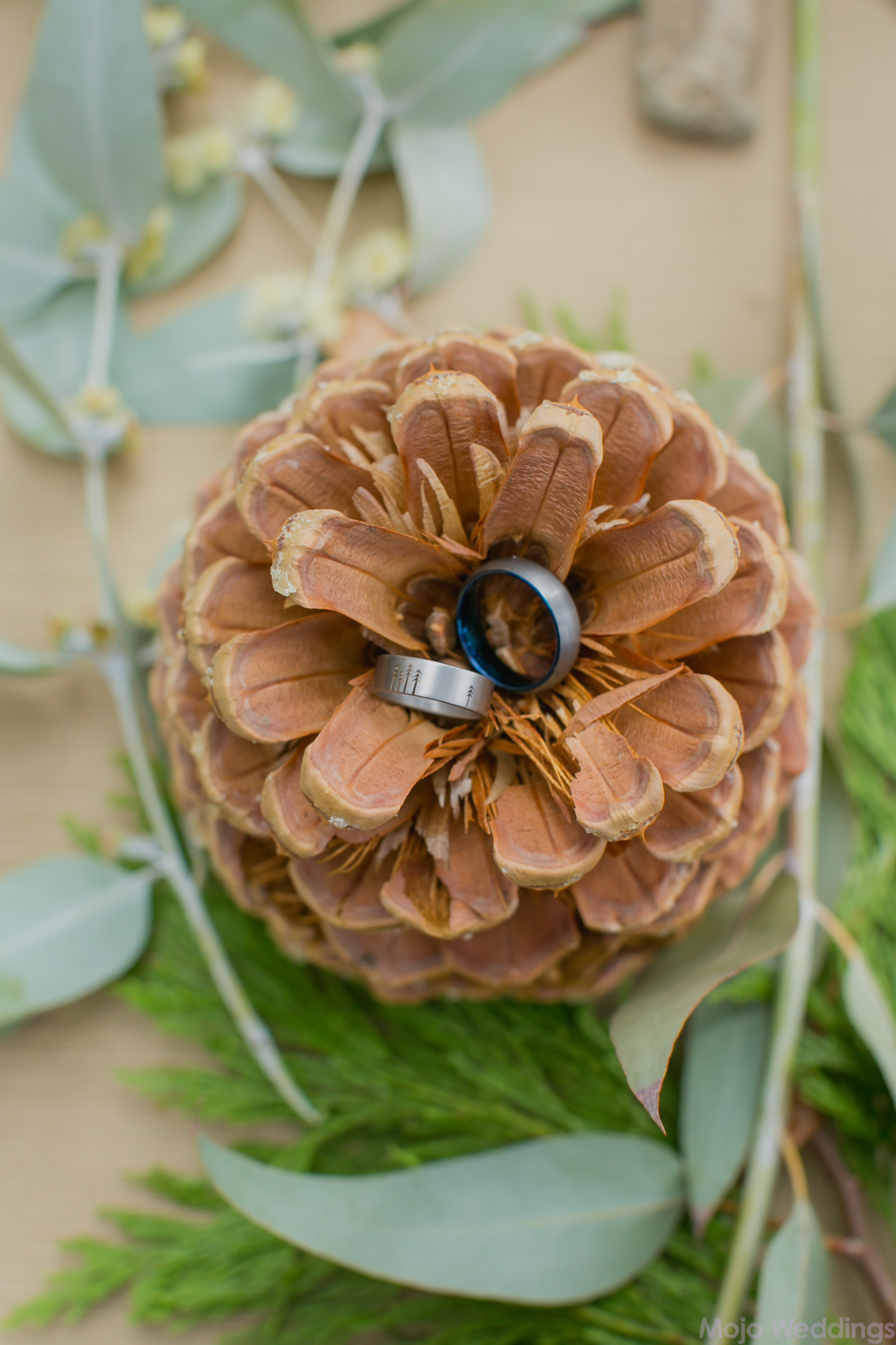Her custom tree engraved wedding band and his dark grey band with a blue liner sit in the middle of the top of a pinecone.