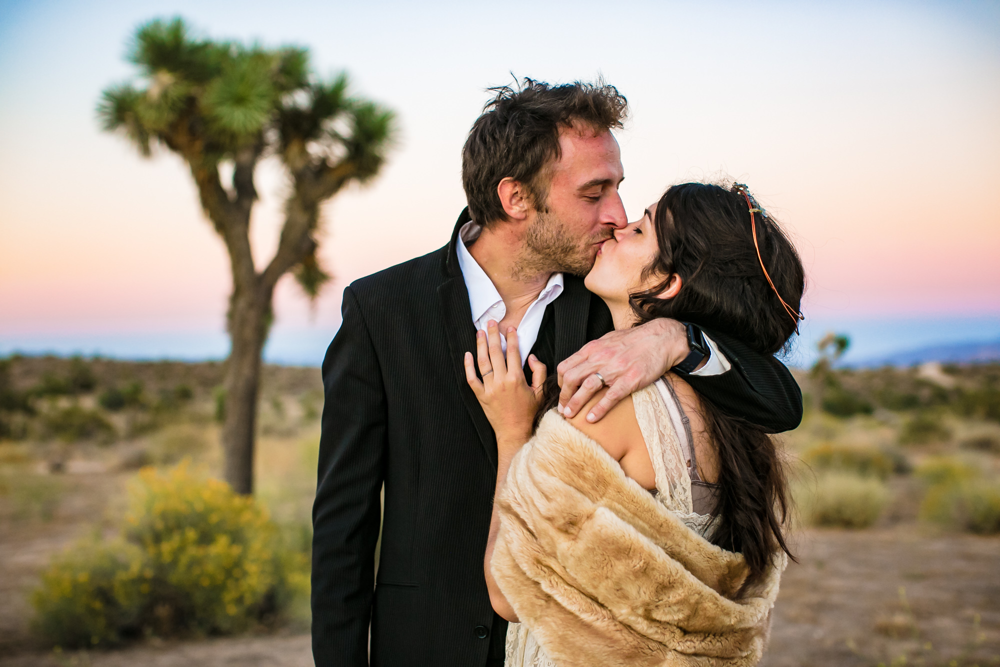 Elopement at sunset in front of a Joshua Tree.